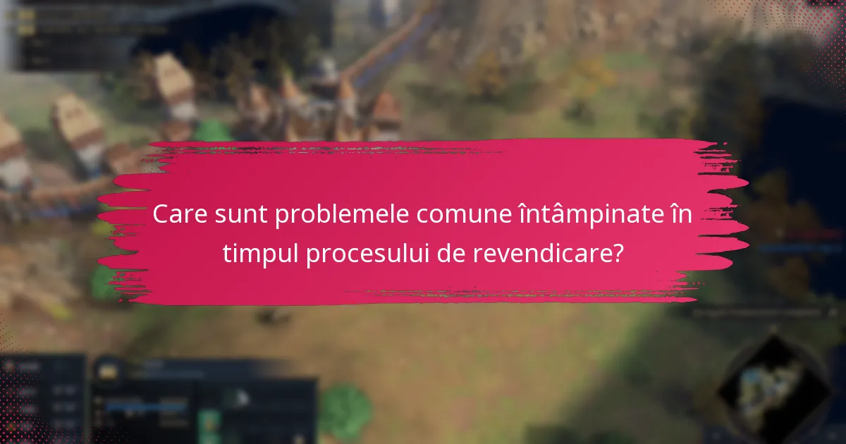 Care sunt problemele comune întâmpinate în timpul procesului de revendicare?
